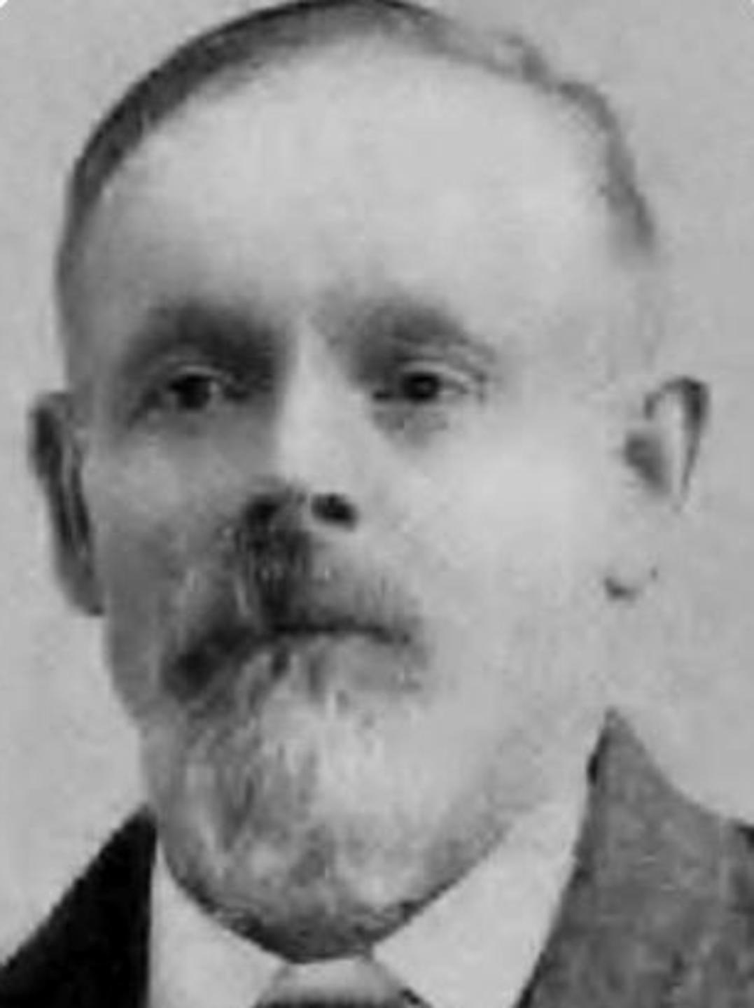 Moses Wilkinson (1837 - 1899) Profile